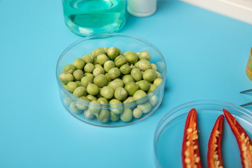 辣椒豌豆食品安全農業科技食品培育攝影圖 插畫 下載至來源處