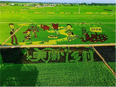 加速新型農(nóng)業(yè)發(fā)展,華為云助力沈陽稻夢空間建設(shè)數(shù)字化產(chǎn)業(yè)園