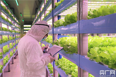 中央媒體走進(jìn)世界最大植物工廠 探索新興光生物產(chǎn)業(yè)&ldquo;密碼&rdquo;