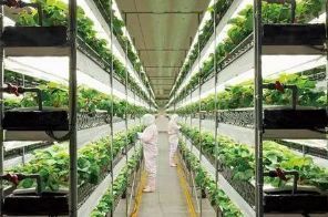 【創(chuàng)新】農業(yè)科技亮點,東方紅400馬力無級變速拖拉機上榜!