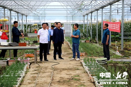 河南建業(yè)集團(tuán)考察調(diào)研新野縣特色農(nóng)業(yè)產(chǎn)業(yè)項(xiàng)目建設(shè)工作