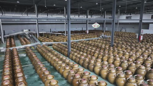 活力中國(guó)調(diào)研行丨沿著東江走出深山,老區(qū)農(nóng)業(yè)如何撬開(kāi)灣區(qū)市場(chǎng)