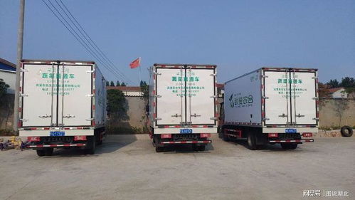 武漢市選派813名第一書(shū)記 463支工作隊(duì)駐村幫扶助力鄉(xiāng)村振興