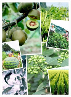 【圖說】&ldquo;硒&rdquo;望無限!看看江津富硒產(chǎn)業(yè)為什么這樣火?