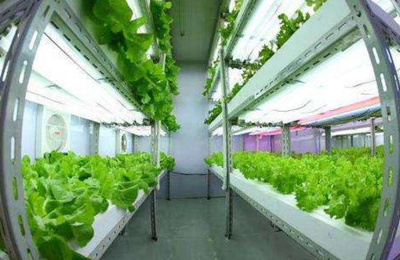 臺(tái)灣源鮮集團(tuán)董事長(zhǎng)蔡文清:臺(tái)植物工廠(chǎng)產(chǎn)品將營(yíng)銷(xiāo)到北歐各國(guó),未來(lái)將開(kāi)發(fā)北歐市場(chǎng)