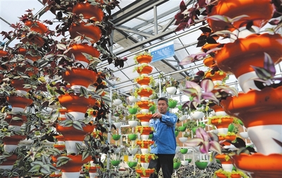 農(nóng)業(yè)夢(mèng)工廠(chǎng)種養(yǎng)更環(huán)保