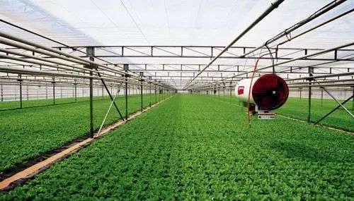 現代農業讓城市更美好 黨的十八大以來都市現代農業發展綜述