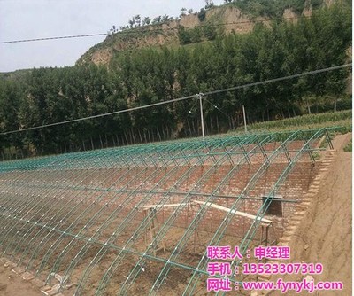 安陽豐源農(nóng)業(yè)與廣安鋼結(jié)構(gòu)大棚建設(shè) 現(xiàn)代農(nóng)業(yè)的堅實支柱