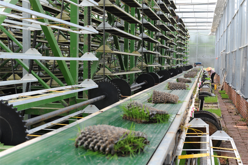 華容縣“田保姆”服務助推糧食生產(chǎn)高質量發(fā)展