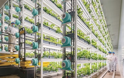 大國強農(nóng)向新行 現(xiàn)代農(nóng)業(yè)發(fā)展的戰(zhàn)略路徑