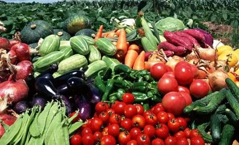 商務(wù)部關(guān)于做好農(nóng)產(chǎn)品產(chǎn)銷對接工作的通知