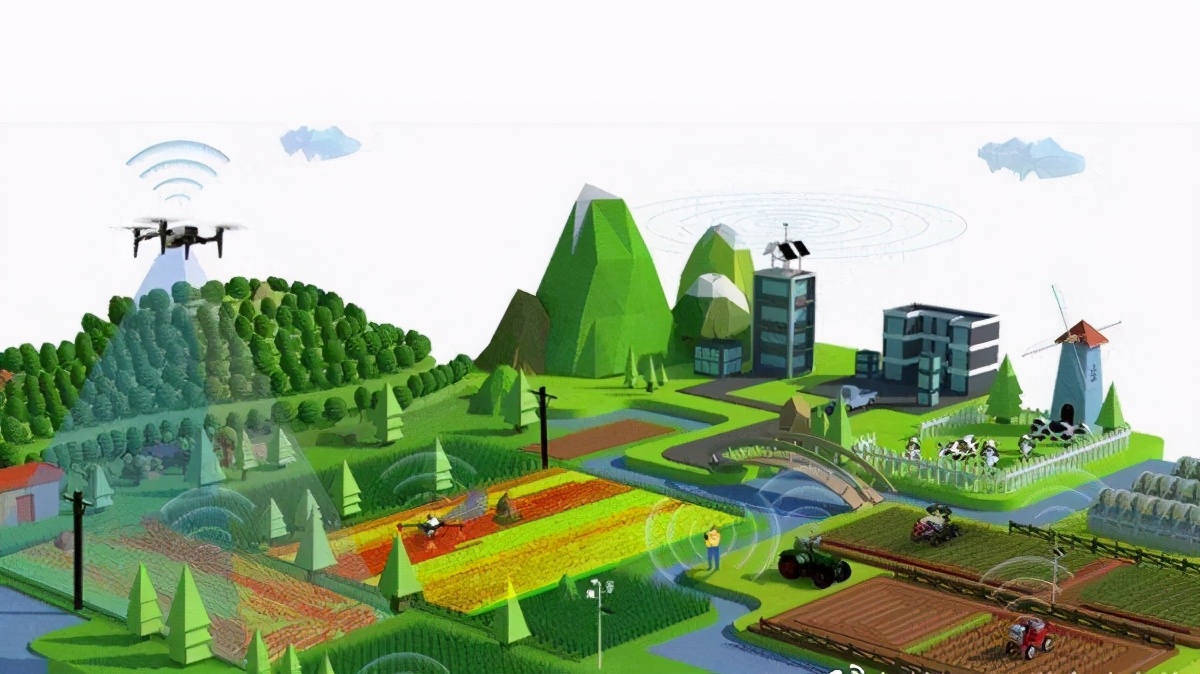 數字賦能 鄉村振興戰略下農業現代化的新引擎