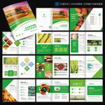 現代農業的科技創新與可持續發展